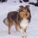 Jessie Joy Gold z Benešovské zahrady