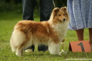 JILLY OF VALLEY ze Skalní vyhlídky