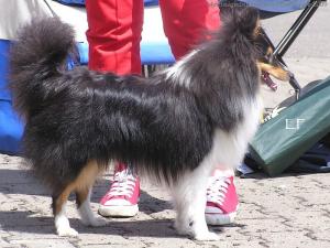 JIMMY Želečské vrchy