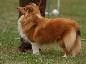 Just Remember ze Skalní vyhlídky