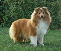 Just Remember ze Skalní vyhlídky