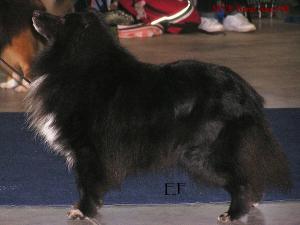 JUST SATCHMO z Ďáblovy studánky