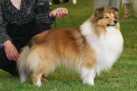 KADET z Ďáblovy studánky