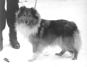 Kamajakin Valentine's Day