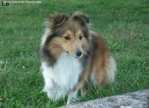 KARAMELKA z Ďáblovy studánky