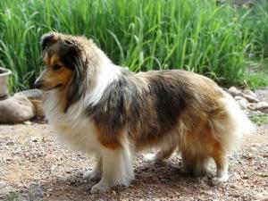 Keep Smiling z Ďáblovy studánky