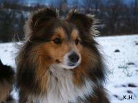 Keep Smiling z Ďáblovy studánky