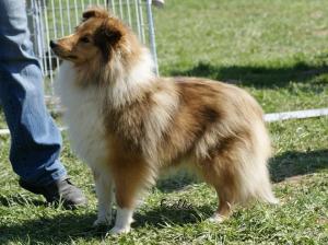 Kelly Gold z Vesničky u hranic