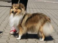 Kelly Gold z Vesničky u hranic