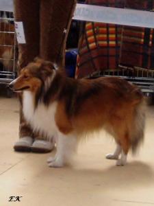 KENDY GOLD ze Sedlmajerovy vily