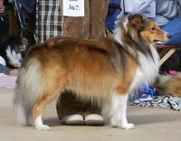 KENDY GOLD ze Sedlmajerovy vily