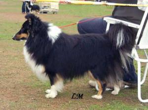 KENY KING BLACK z Benešovské zahrady