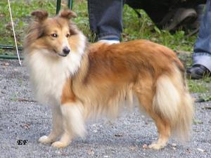 KERRY KISS z Ďáblovy studánky