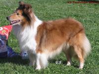 KERRY KISS z Ďáblovy studánky