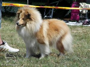 KETTY DE LUX Smaal Kim