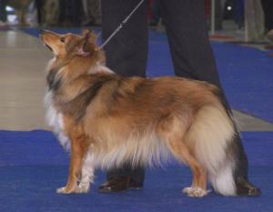 LIMI ELDIA Slapská alej