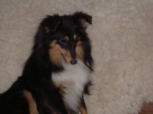 LINDA z Vesničky u hranic