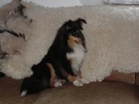 LINDA z Vesničky u hranic