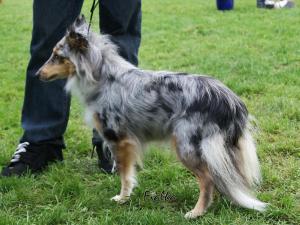 LÍZA z Karlova hrádku