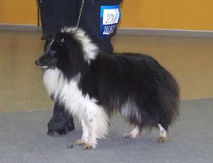 Lucky-Luke Calaquend-Biblack Erie