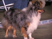 Lukas z Karlova hrádku