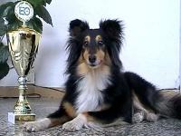 MAGGIE-JANE ze Shetlandů