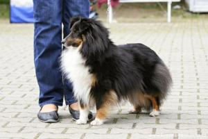 MAILLEE z Heřmanova dvora