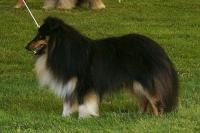 MAILLEE z Heřmanova dvora