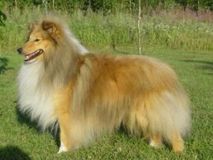 Marilake The Storyteller