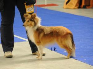 Markýz ze Souhvězdí Orionu