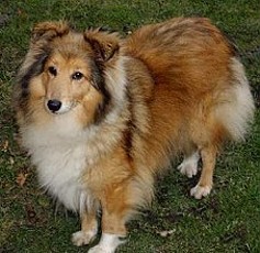 MEGGI z Vesničky u hranic