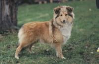 MEGGI z Vesničky u hranic