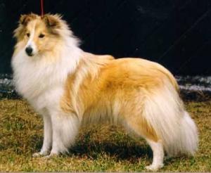 Mellsjöhögda's Noteworthy