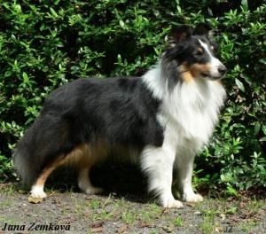 MIDNIGHT MAIL z Ďáblovy studánky