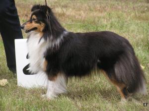 Mystic Black Moravia Classic