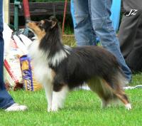 Mystic Black Moravia Classic