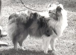 Nancy Blue of Demon Castle