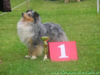 NANCY NYMPH ze Shetlandů