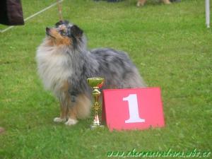 NANCY NYMPH ze Shetlandů