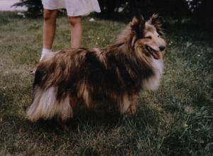 NANCY ze Dvoraček CS