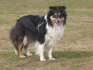 NAOMI NIKI z Benešovské zahrady