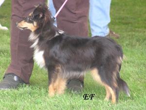 NAOMI ze Zlaté hvězdy