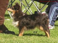 NAOMI ze Zlaté hvězdy