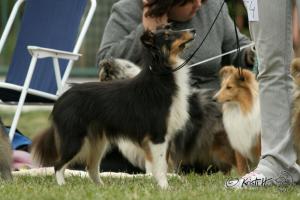 NELLA ze Souhvězdí Orionu