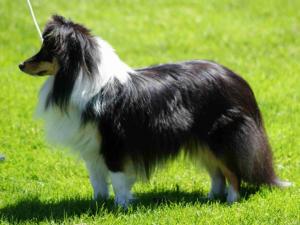 NERISSA z Vesničky u hranic