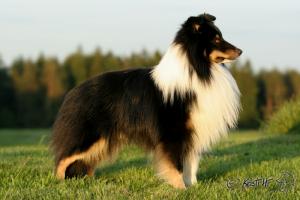 NO COMMENT z Ďáblovy studánky