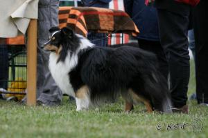 OBELIX z Karlova hrádku