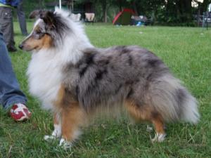 ODYSEA z Karlova hrádku