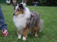 ODYSEA z Karlova hrádku