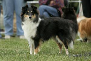 OLÍVIA ze Souhvězdí Orionu